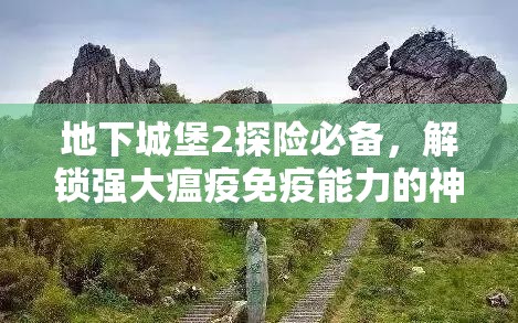 地下城堡2探险必备，解锁强大瘟疫免疫能力的神秘装备揭秘