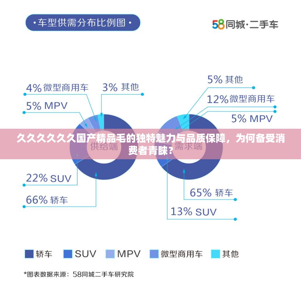 久久久久久久国产精品毛的独特魅力与品质保障，为何备受消费者青睐？