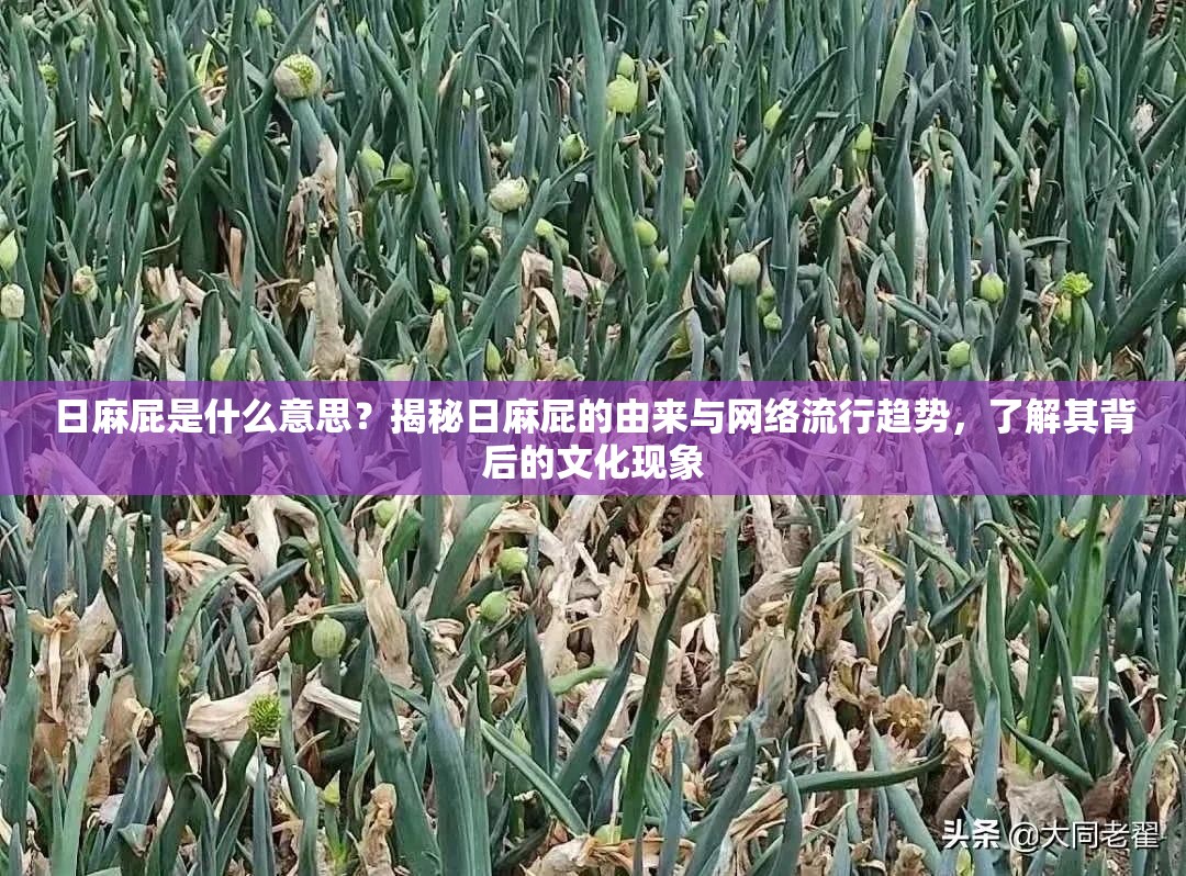 日麻屁是什么意思？揭秘日麻屁的由来与网络流行趋势，了解其背后的文化现象