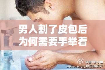 男人割了皮包后为何需要手举着？详细解析术后护理与注意事项