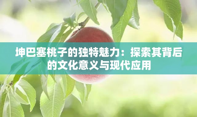 坤巴塞桃子的独特魅力：探索其背后的文化意义与现代应用