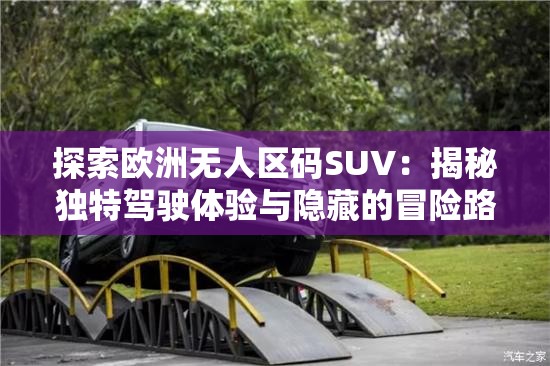 探索欧洲无人区码SUV：揭秘独特驾驶体验与隐藏的冒险路线