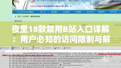 夜里18款禁用B站入口详解：用户必知的访问限制与解决方案