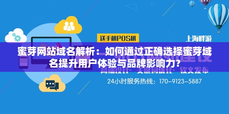 蜜芽网站域名解析：如何通过正确选择蜜芽域名提升用户体验与品牌影响力？