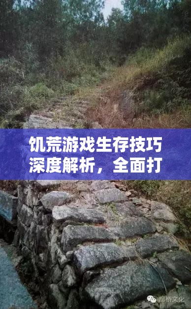 饥荒游戏生存技巧深度解析，全面打造高效避雨小屋的实用攻略