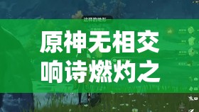 原神无相交响诗燃灼之炉怎么过？揭秘燃灼之炉无相之火打法攻略！