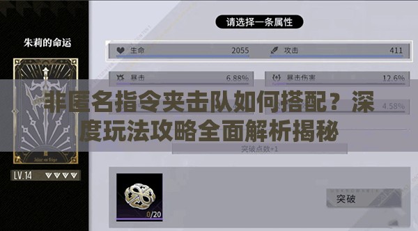 非匿名指令夹击队如何搭配？深度玩法攻略全面解析揭秘