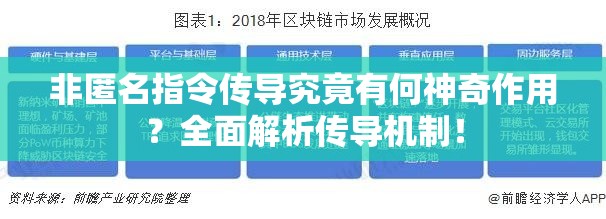 非匿名指令传导究竟有何神奇作用？全面解析传导机制！