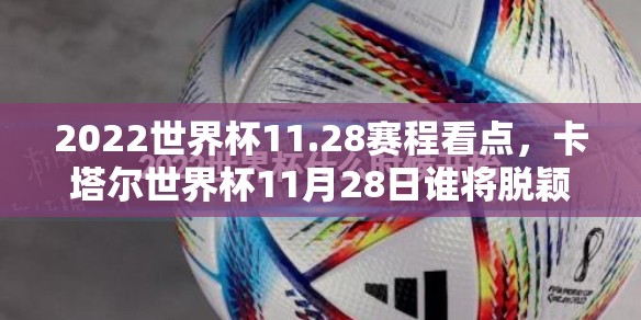 2022世界杯11.28赛程看点，卡塔尔世界杯11月28日谁将脱颖而出？