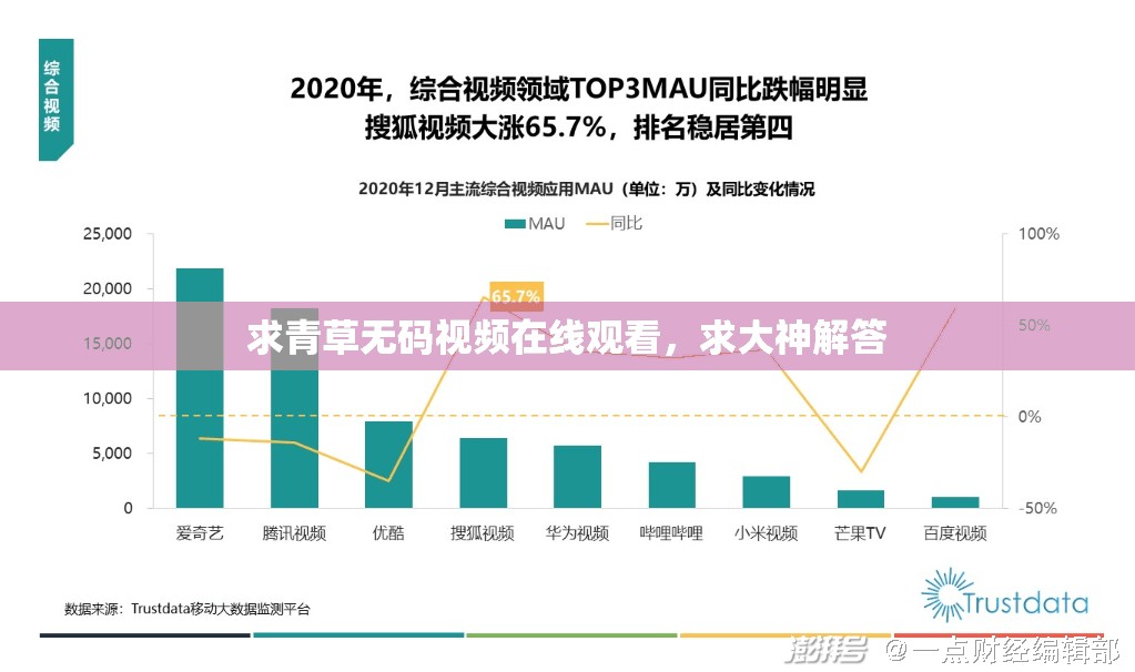 求青草无码视频在线观看，求大神解答