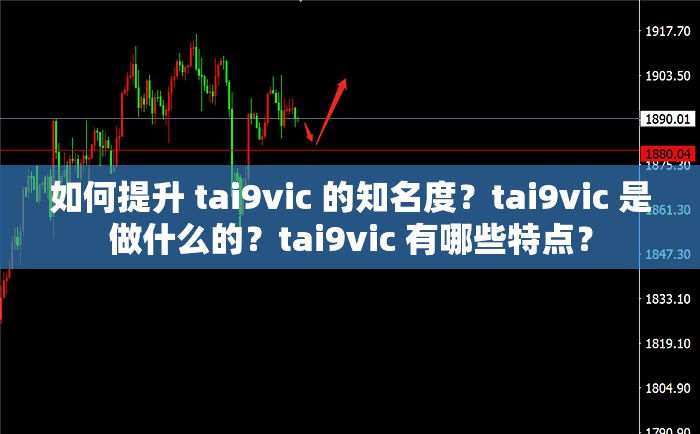 如何提升 tai9vic 的知名度？tai9vic 是做什么的？tai9vic 有哪些特点？