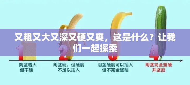 又粗又大又深又硬又爽，这是什么？让我们一起探索