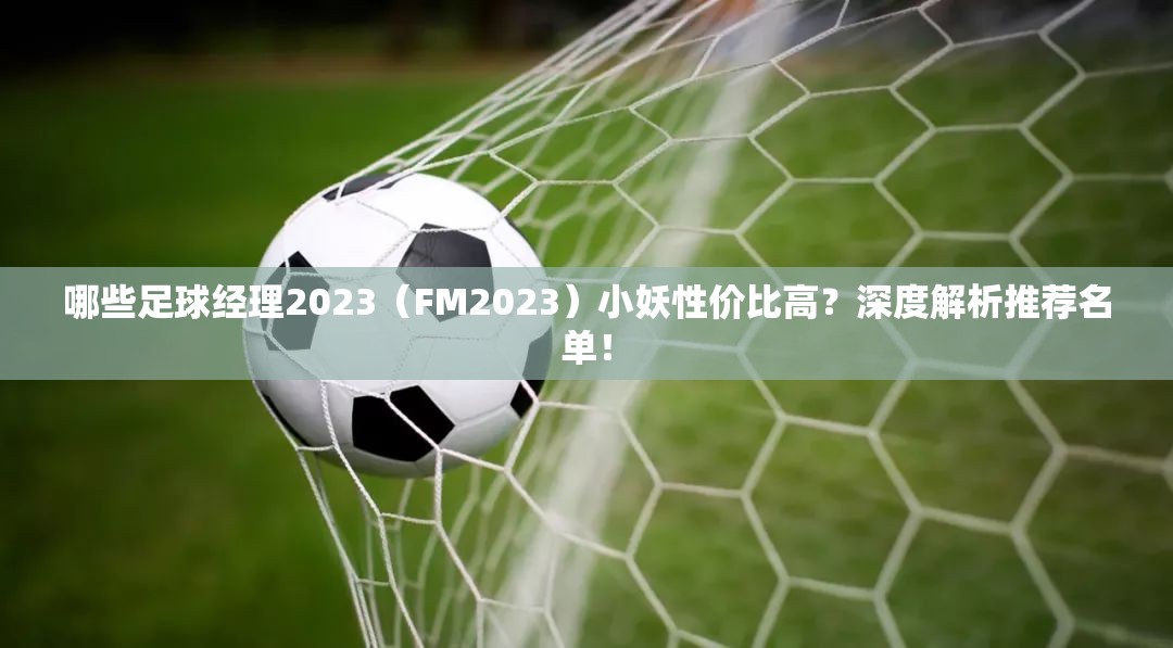 哪些足球经理2023（FM2023）小妖性价比高？深度解析推荐名单！