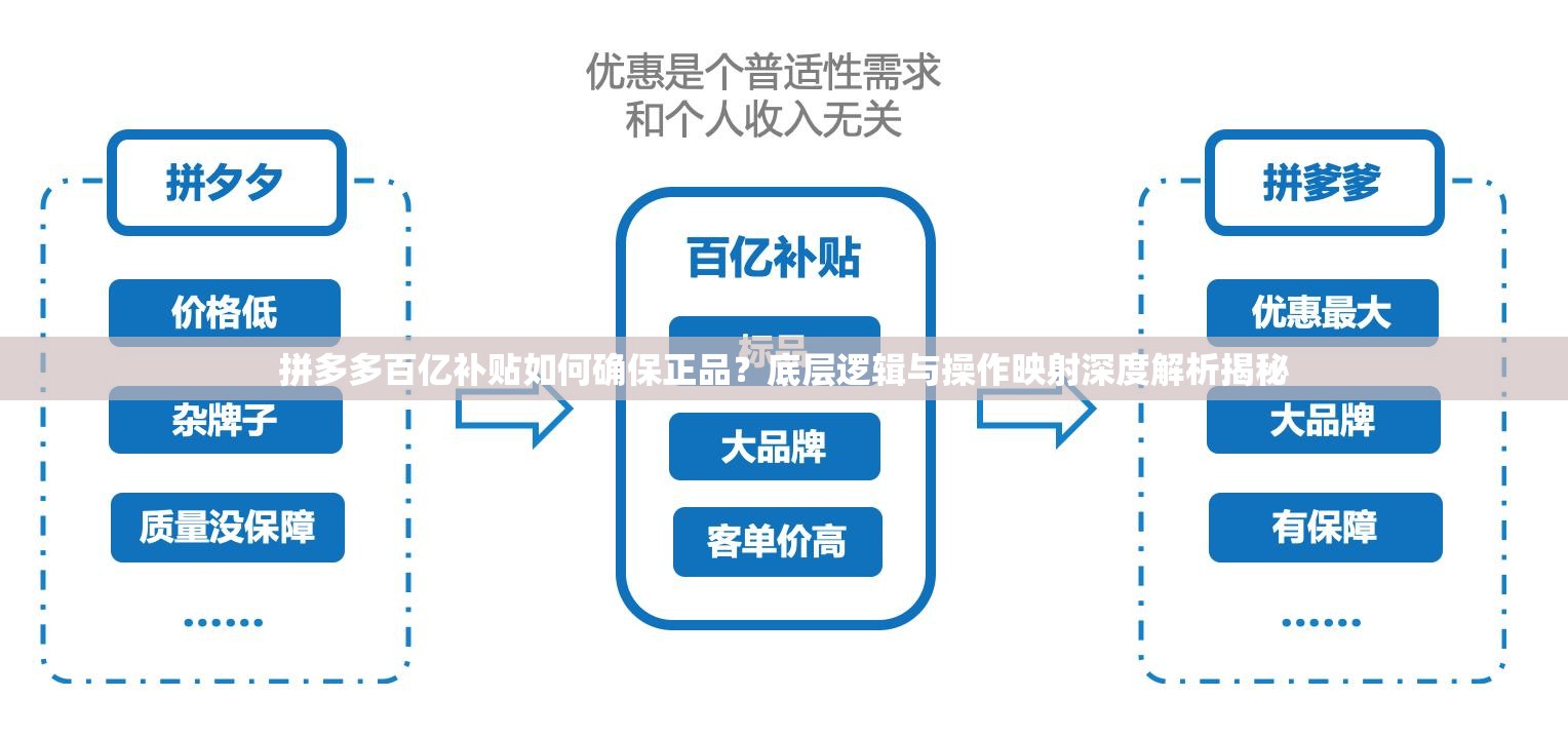 拼多多百亿补贴如何确保正品？底层逻辑与操作映射深度解析揭秘