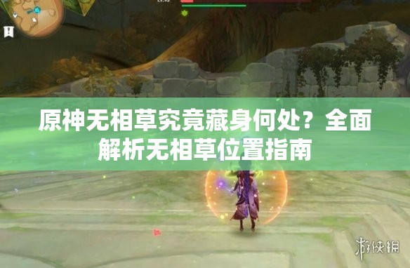 原神无相草究竟藏身何处？全面解析无相草位置指南