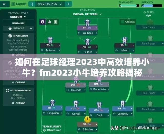 如何在足球经理2023中高效培养小牛？fm2023小牛培养攻略揭秘