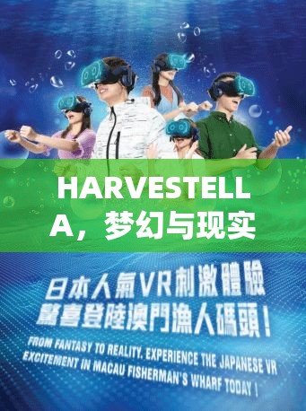 HARVESTELLA，梦幻与现实交织的奇妙之旅，究竟隐藏着怎样的秘密？