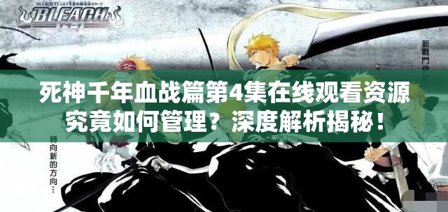 死神千年血战篇第4集在线观看资源究竟如何管理？深度解析揭秘！