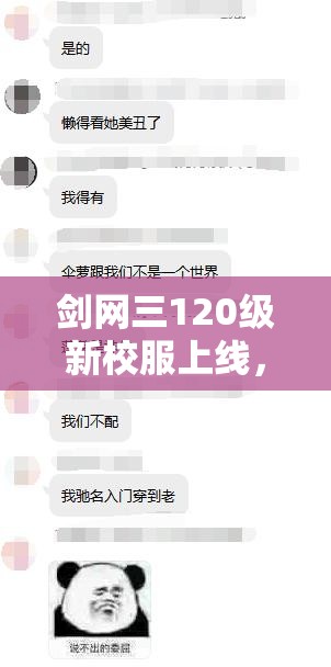 剑网三120级新校服上线，如何高效管理资源以最大化其价值？