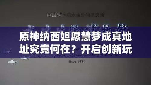 原神纳西妲愿慧梦成真地址究竟何在？开启创新玩法与深邃剧情的未知探索