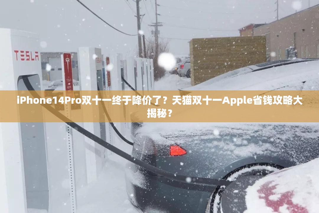 iPhone14Pro双十一终于降价了？天猫双十一Apple省钱攻略大揭秘？