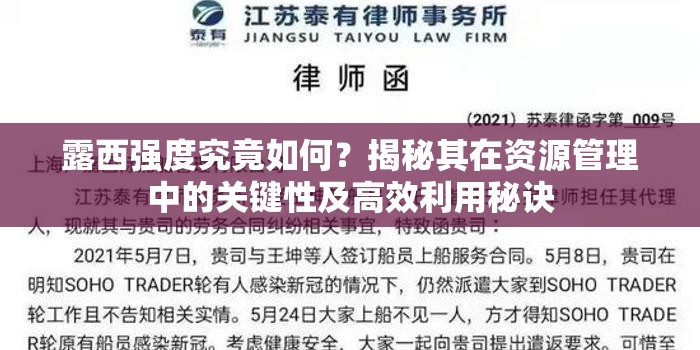 露西强度究竟如何？揭秘其在资源管理中的关键性及高效利用秘诀