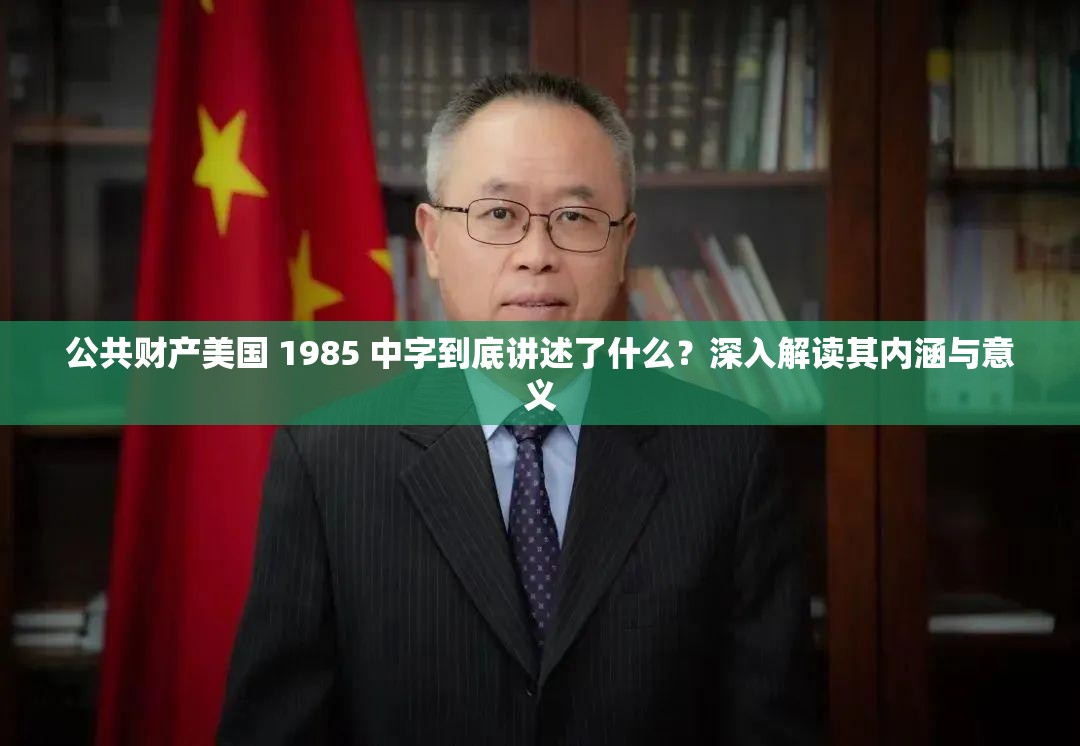 公共财产美国 1985 中字到底讲述了什么？深入解读其内涵与意义