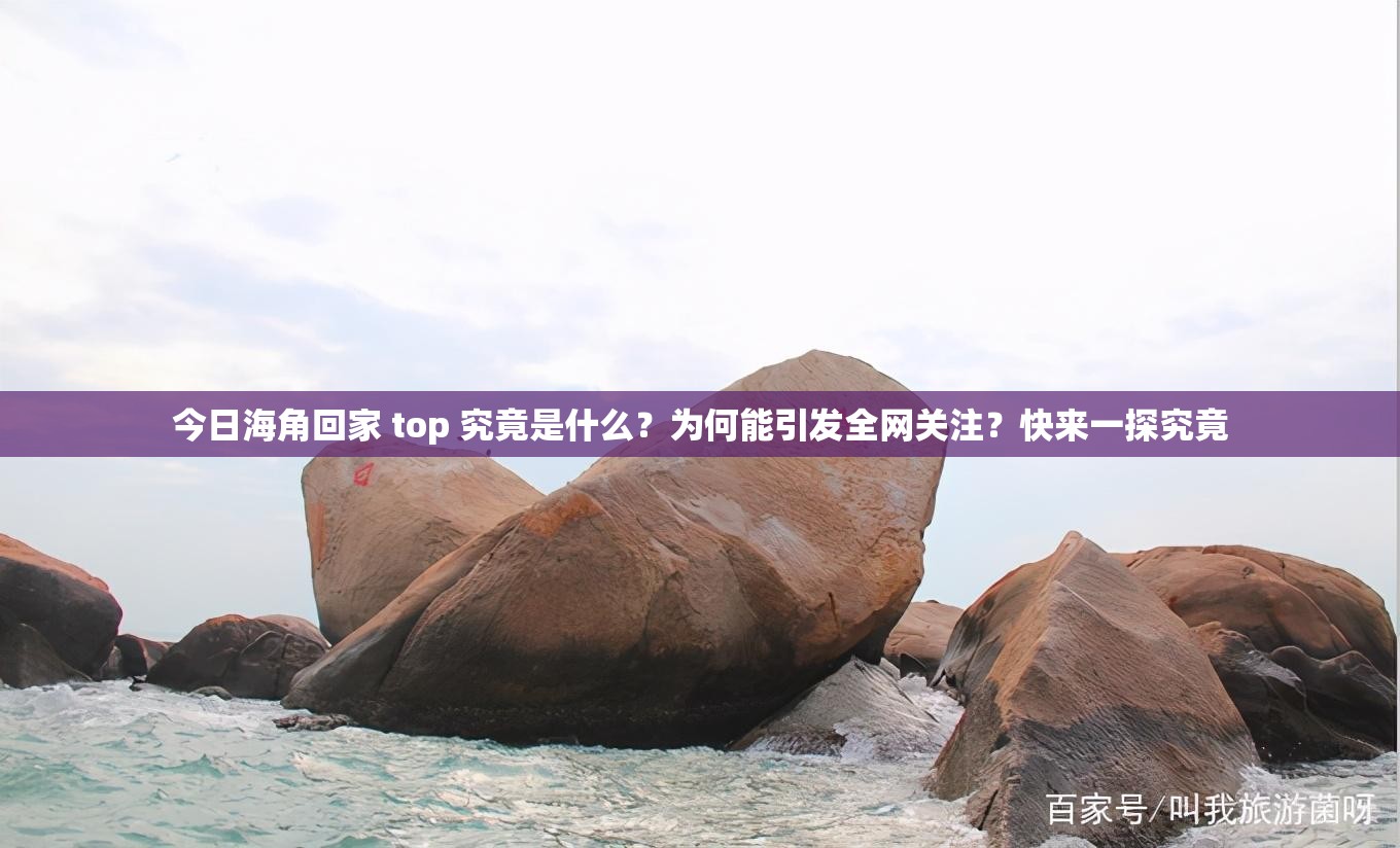 今日海角回家 top 究竟是什么？为何能引发全网关注？快来一探究竟