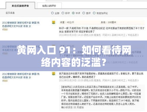 黄网入口 91：如何看待网络内容的泛滥？