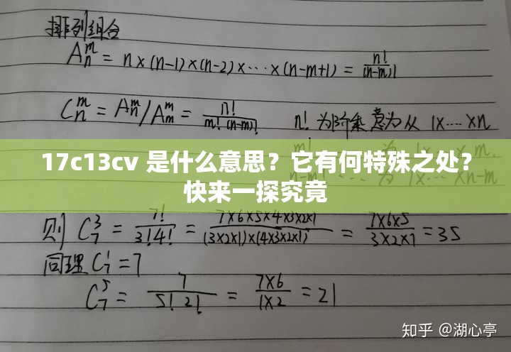 17c13cv 是什么意思？它有何特殊之处？快来一探究竟