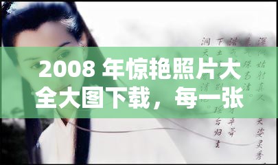 2008 年惊艳照片大全大图下载，每一张都让你心动