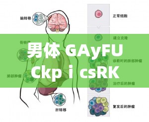 男体 GAyFUCkpⅰcsRK：探索未知的神秘世界