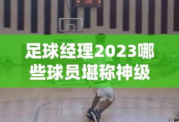 足球经理2023哪些球员堪称神级表现？FM2023好用球员大揭秘！