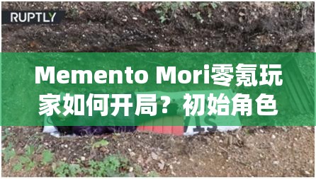 Memento Mori零氪玩家如何开局？初始角色选择有哪些最佳推荐？