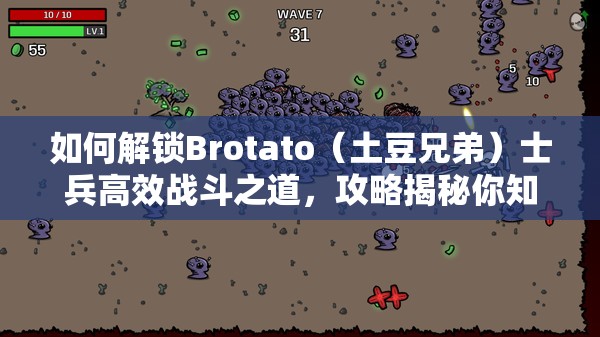 如何解锁Brotato（土豆兄弟）士兵高效战斗之道，攻略揭秘你知道吗？