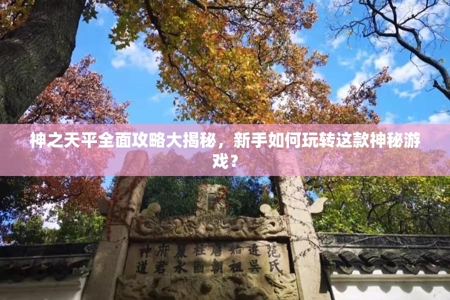 神之天平全面攻略大揭秘，新手如何玩转这款神秘游戏？