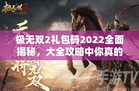 极无双2礼包码2022全面揭秘，大全攻略中你真的能找到所有礼包码吗？