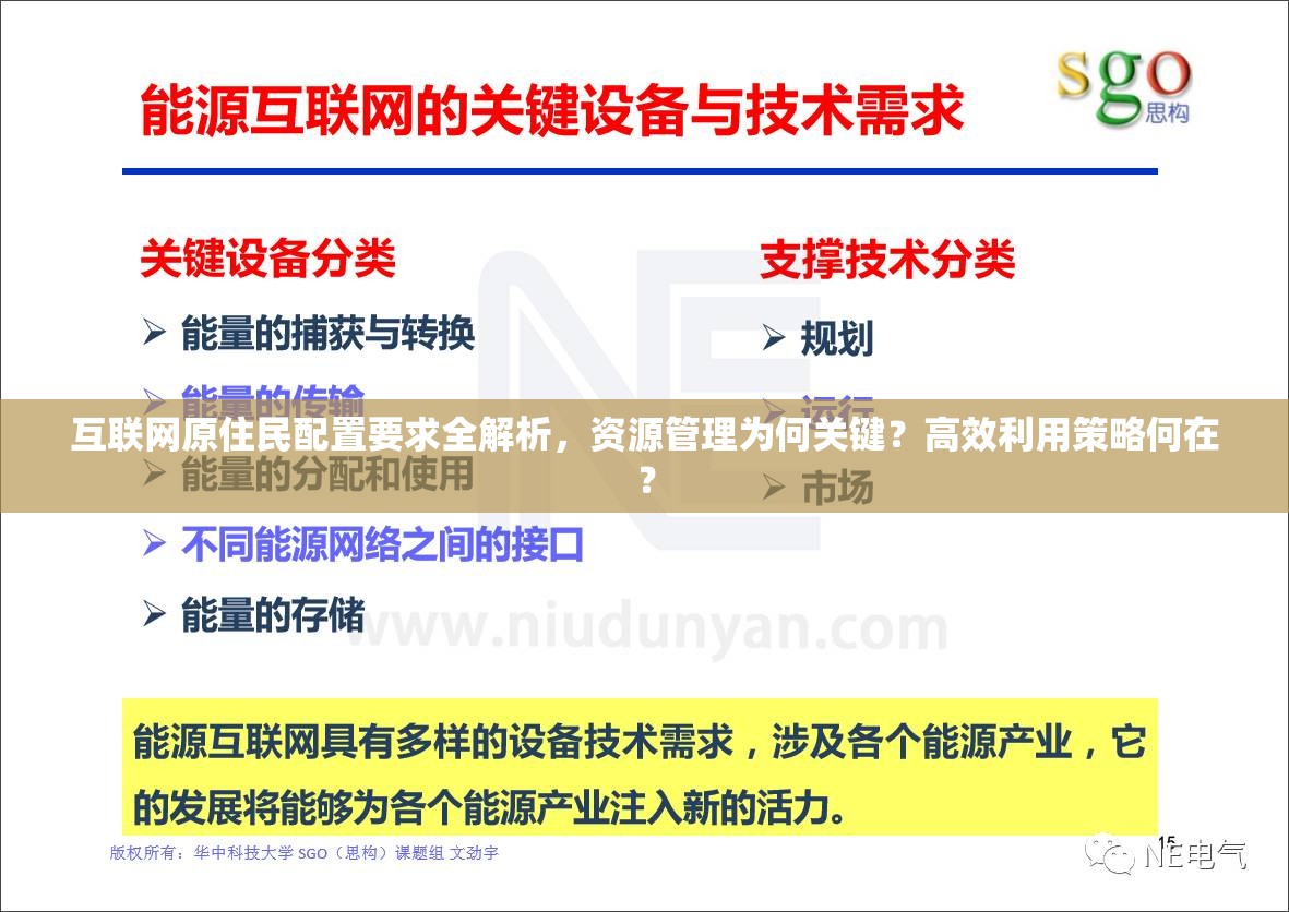 互联网原住民配置要求全解析，资源管理为何关键？高效利用策略何在？