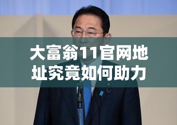 大富翁11官网地址究竟如何助力资源管理，高效利用策略揭秘？