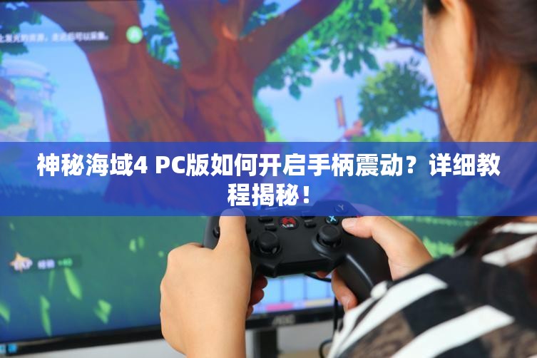 神秘海域4 PC版如何开启手柄震动？详细教程揭秘！