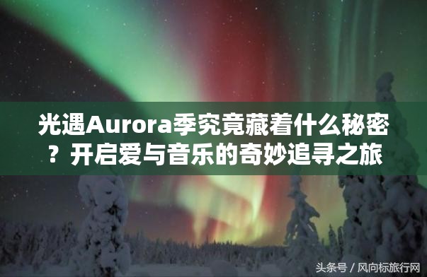 光遇Aurora季究竟藏着什么秘密？开启爱与音乐的奇妙追寻之旅