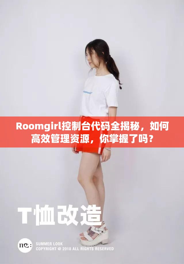 Roomgirl控制台代码全揭秘，如何高效管理资源，你掌握了吗？