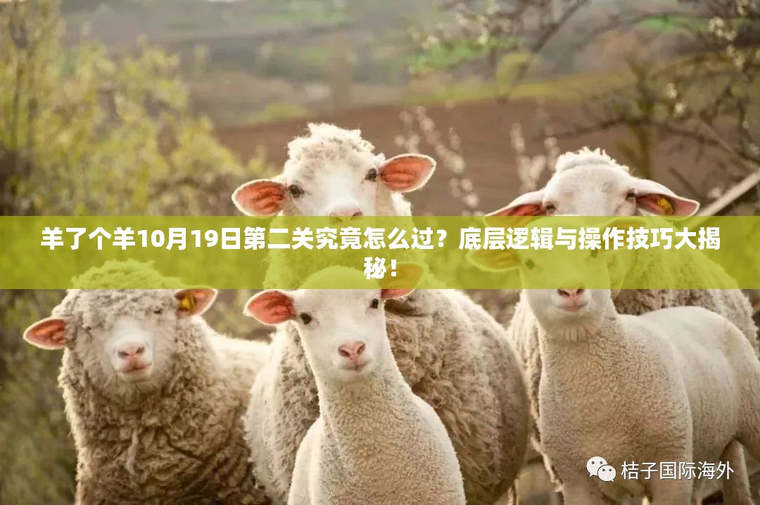 羊了个羊10月19日第二关究竟怎么过？底层逻辑与操作技巧大揭秘！