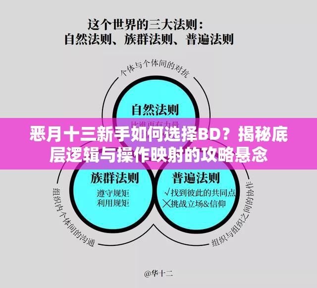 恶月十三新手如何选择BD？揭秘底层逻辑与操作映射的攻略悬念