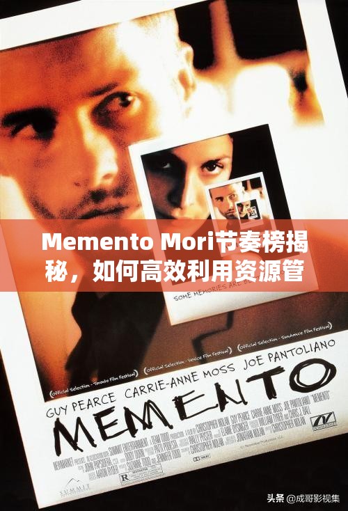 Memento Mori节奏榜揭秘，如何高效利用资源管理策略致胜？