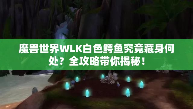 魔兽世界WLK白色鳄鱼究竟藏身何处？全攻略带你揭秘！