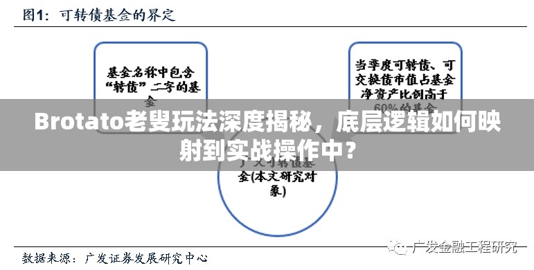 Brotato老叟玩法深度揭秘，底层逻辑如何映射到实战操作中？