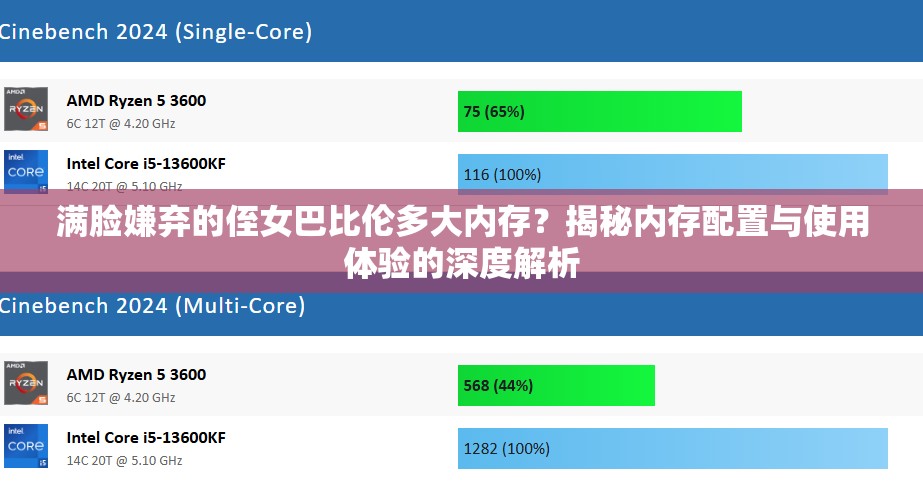 满脸嫌弃的侄女巴比伦多大内存？揭秘内存配置与使用体验的深度解析