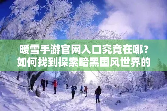 暖雪手游官网入口究竟在哪？如何找到探索暗黑国风世界的钥匙？