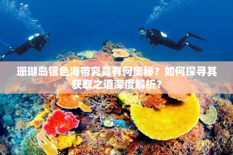 珊瑚岛银色海带究竟有何奥秘？如何探寻其获取之道深度解析？